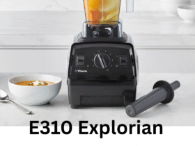 E310 Explorian Blender review