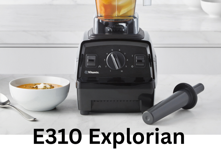 E310 Explorian Blender review