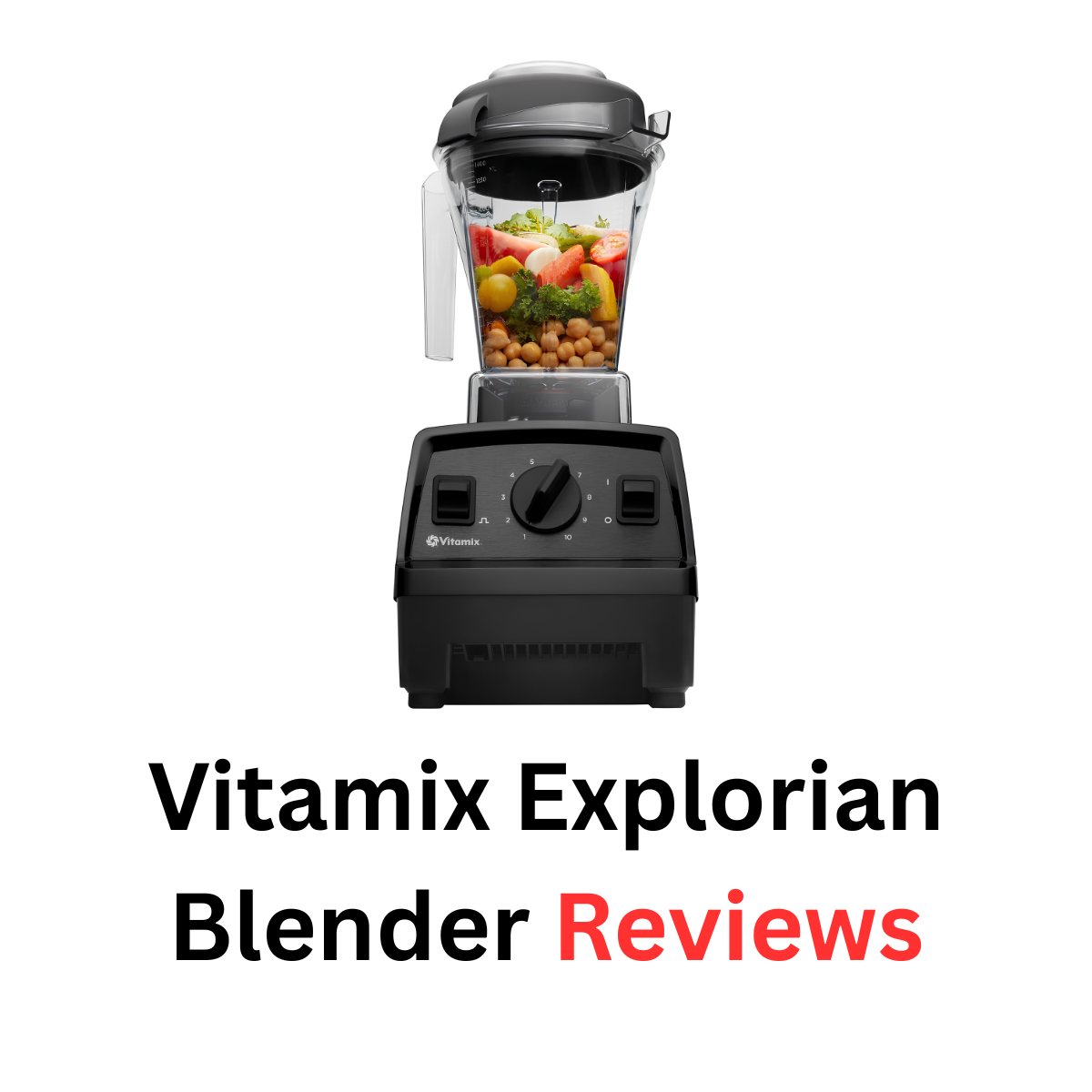 Vitamix Explorian Blender Reviews